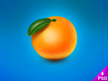 Realistic Orange Image
